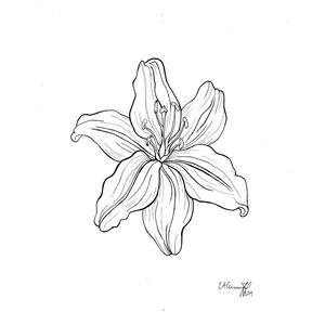 Lily Flower Print | Lily Floral Print | Minimalist Floral Art Print